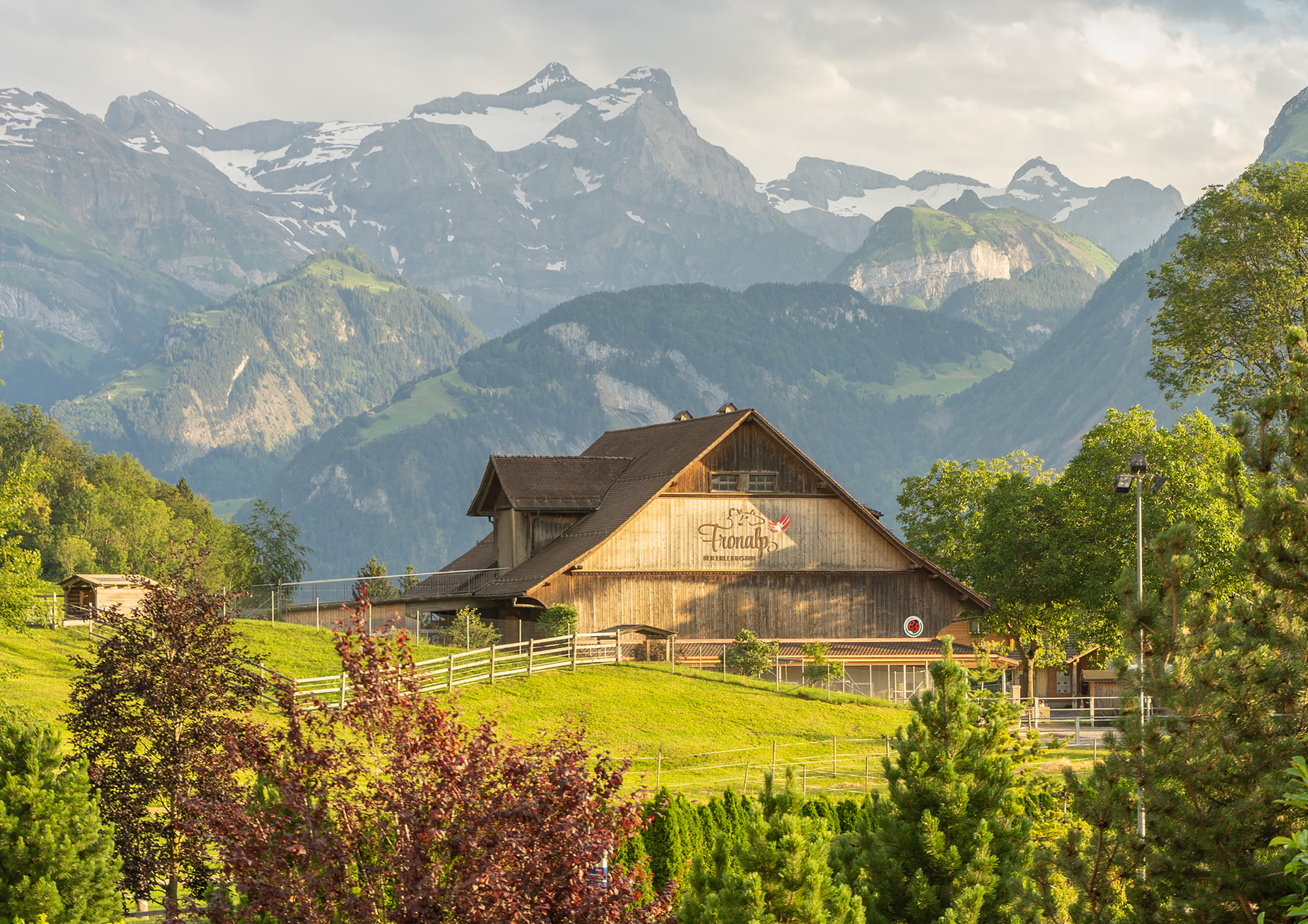 Enjoyment weeks at Erlebnishof Fronalp Enjoyment weeks at Erlebnishof Fronalp