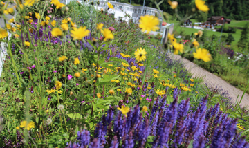 naturnahe_Gartengestaltung.jpg