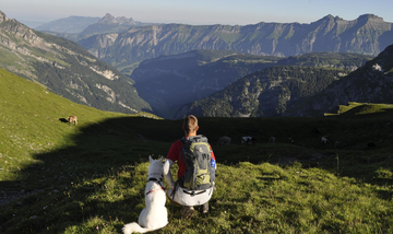 Husky-Trekking Husky-Trekking
