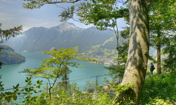 Central Switzerland: Mecca of vantage points and world-famous mountain railways Aussicht von Morschach