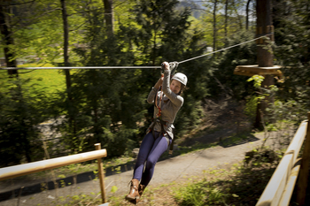 Flying_Fox_Swiss_Holiday_Park_13.jpg