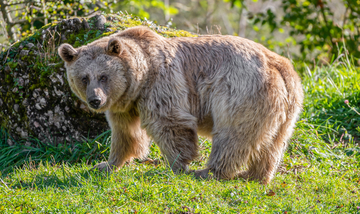 Tierpark Goldau Tierpark Goldau