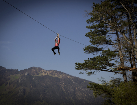 Flying_Fox_Swiss_Holiday_Park_17.jpg