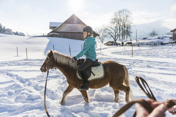 Ponyreiten_Erlebnishof_Fronalp_1.jpg