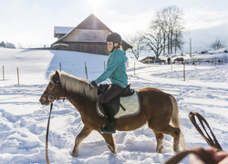Cours d'équitation