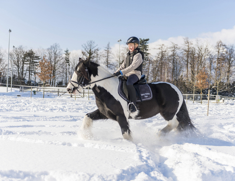 Ponyreiten_Erlebnishof_Fronalp_4.jpg