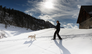 Schneeschuhtour mit Huskies Schneeschuhtour mit Huskies
